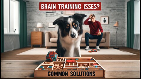 Troubleshooting: Solving Common Brain Training Issues
