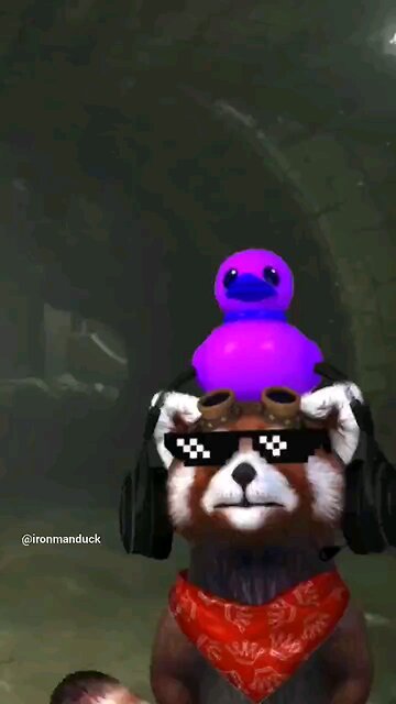 wish upon a star 🌟 #wish #star #dreams