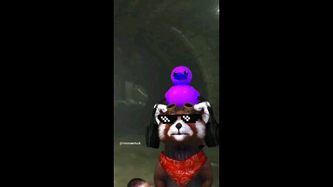 wish upon a star 🌟 #wish #star #dreams