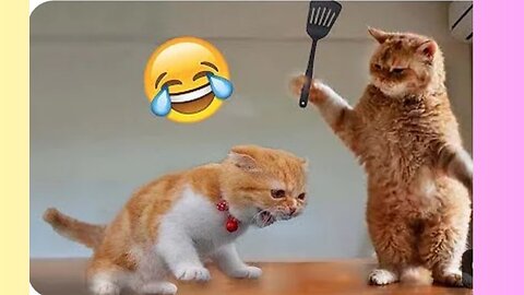 Best Funny Animal Videos of the year (2023), funniest animals ever. relax with cute animals video
