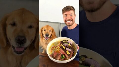 Feeding A Dog $1 vs $10,000 Steak