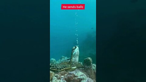 Woow 😮😮 #sea