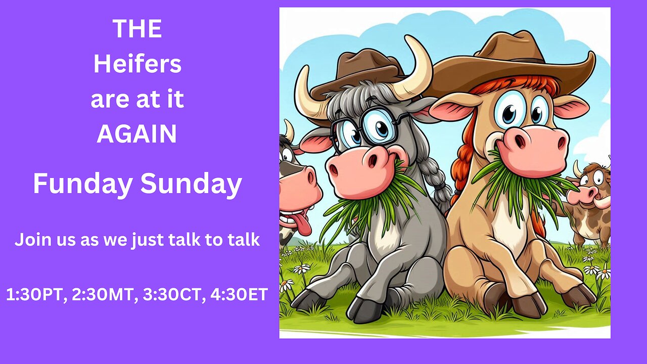 Funday Sunday Chat!