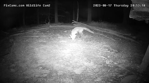 Fox Visit WL2 8/17/23