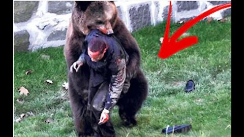 TOP 5 DEATHS OF ANIMAL TRAINERS
