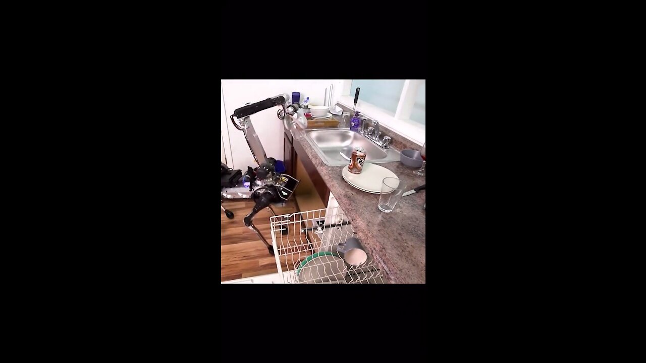 He spends a lot of money on a robot dog 🐕 to wash his dishes😱😱😱