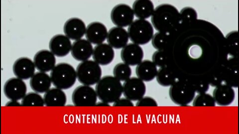 Estas son imágenes de las Vacunas de COVID 19 que los medios jamás informarán