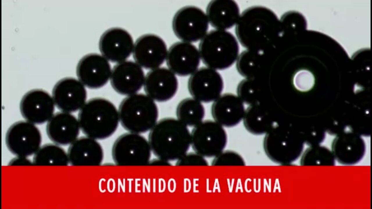 Estas son imágenes de las Vacunas de COVID 19 que los medios jamás informarán