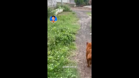 🤣🤣
