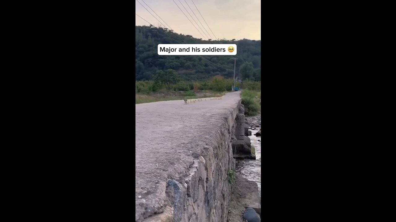 The captain and his soldiers