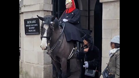 Scared but gets the picture #horseguardsparade