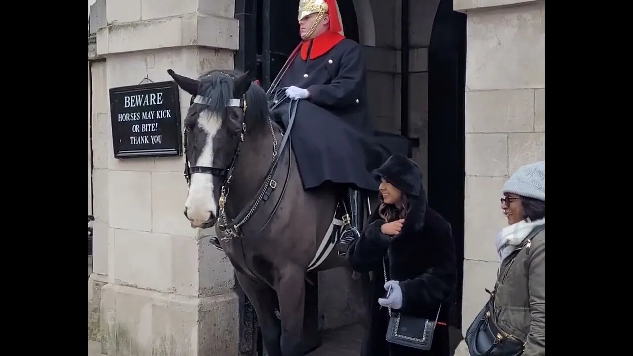 Scared but gets the picture #horseguardsparade