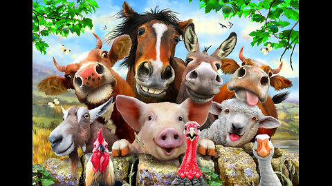 FUNNIEST Farm Animals| Best Videos for families🤣🤣🤣🤣🤣From Around The World 2024.