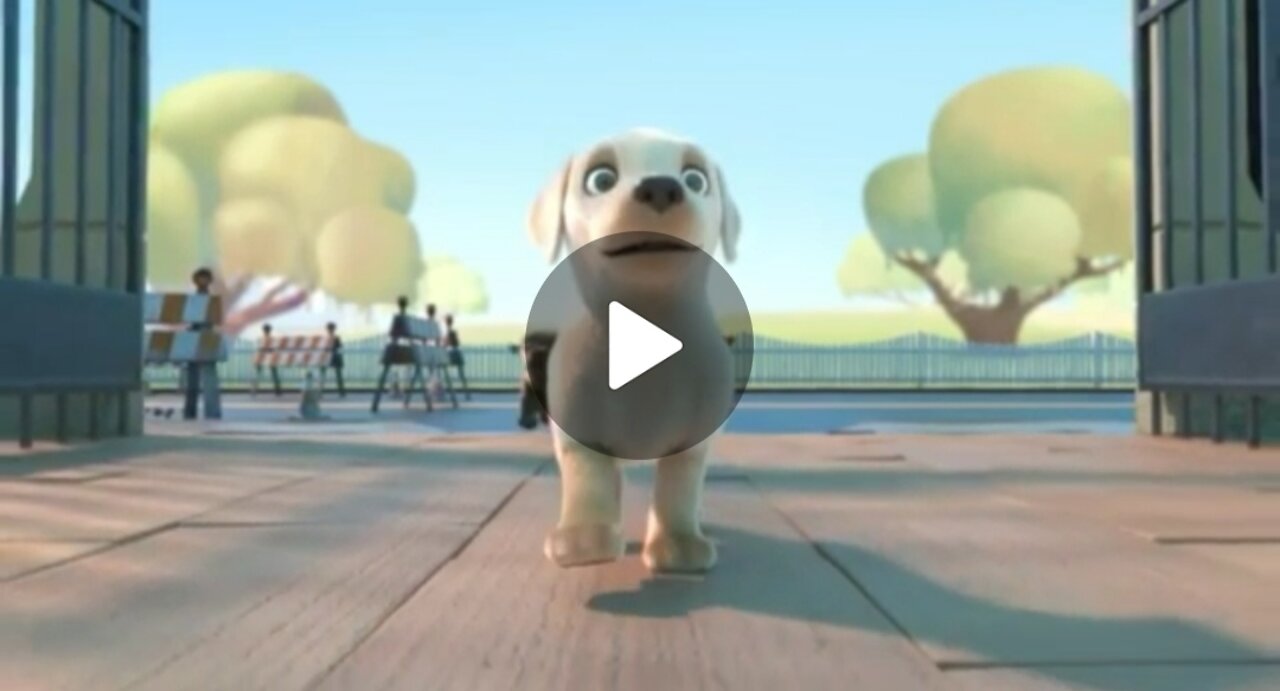 Cortun dog funny video