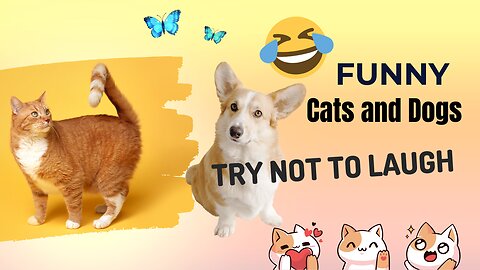 "Paw-sitively Hilarious: Whisker-twitching Fun in Funny Cats and Dogs Moments Galore! 😸🎉
