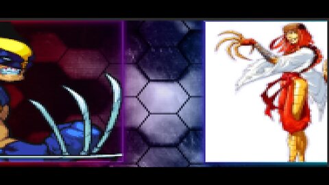 Mugen: Wolverine vs Lady Deathstrike