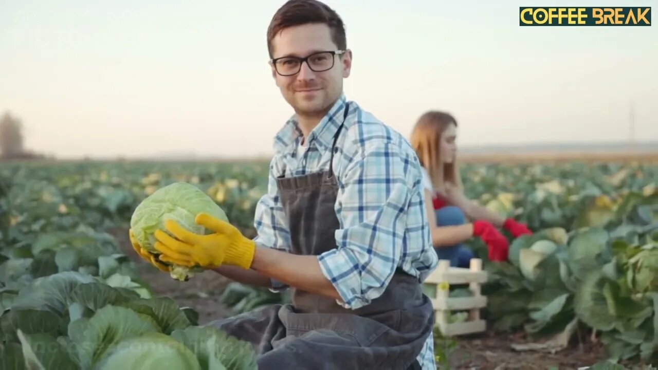 20 Cabbage Medical Virtues And Health Benefits For The Body