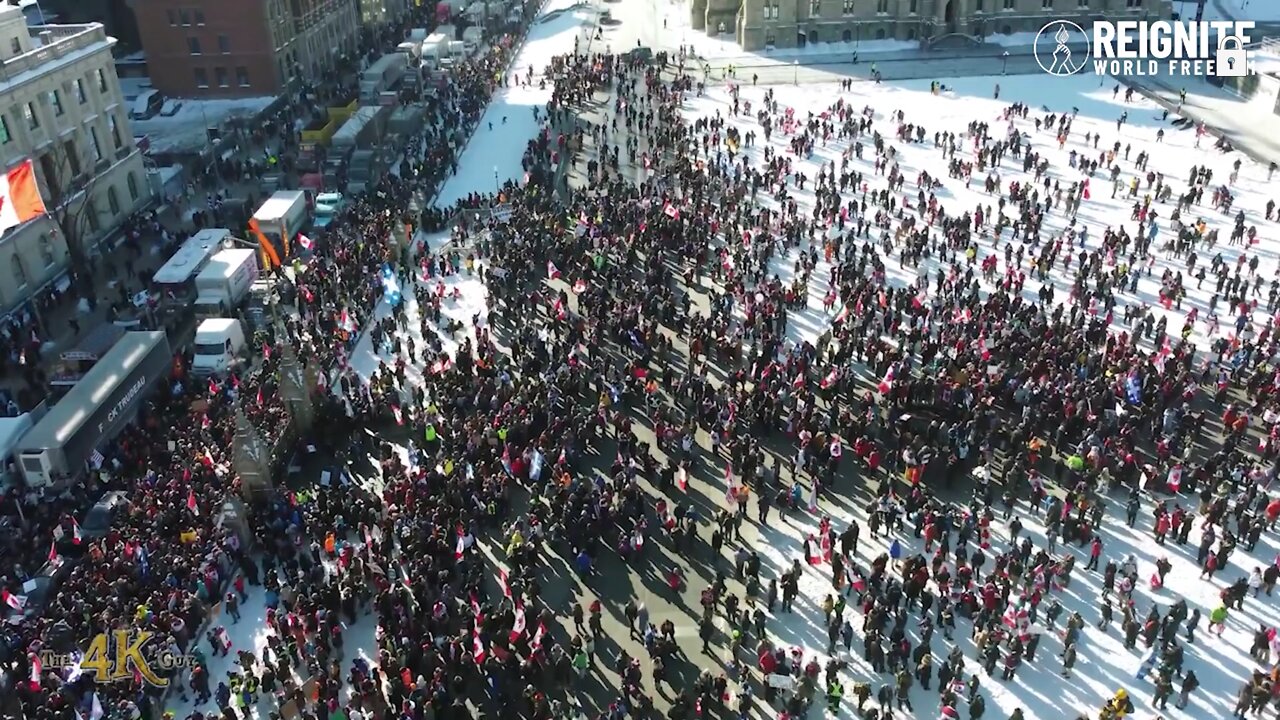 SHARE! WORLDWIDE PROTEST Reignite World Freedom