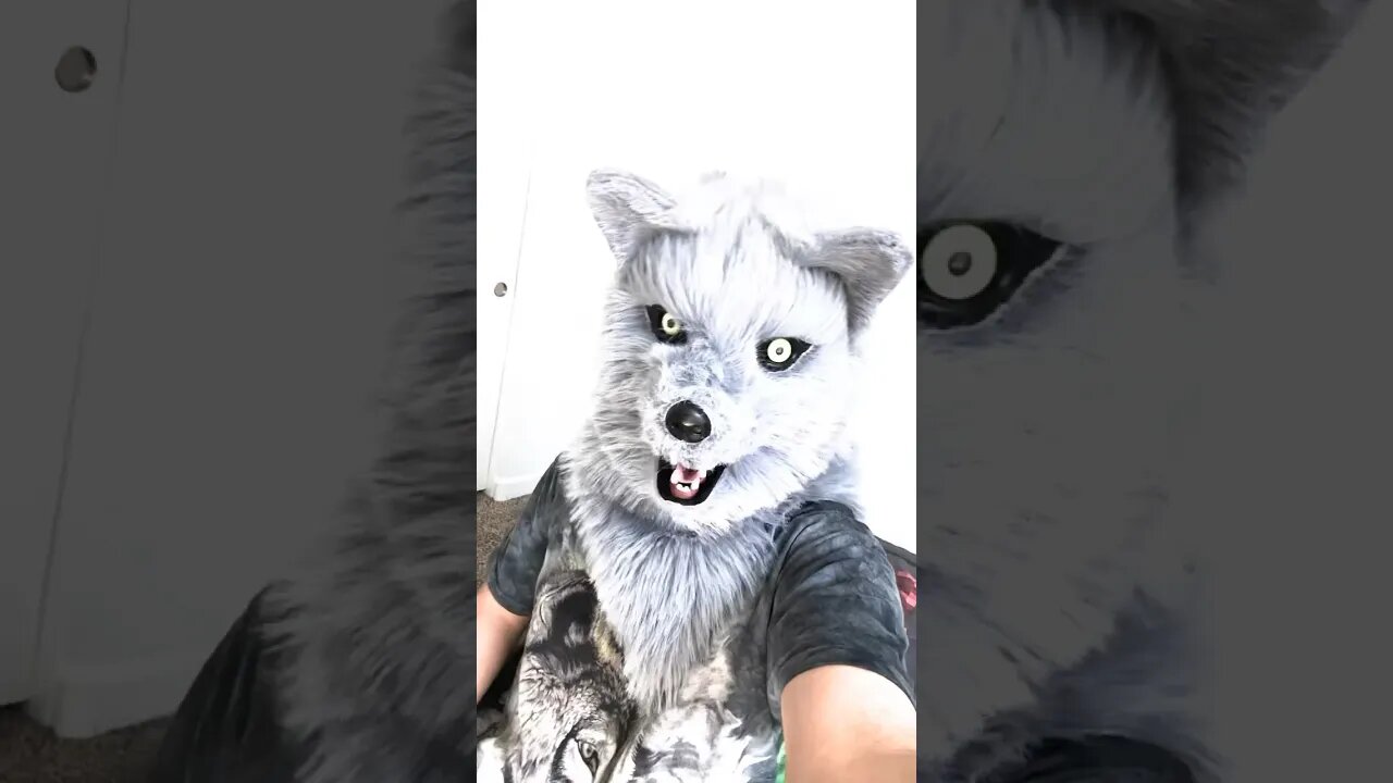 Sticking out your tongue for the picture #furry