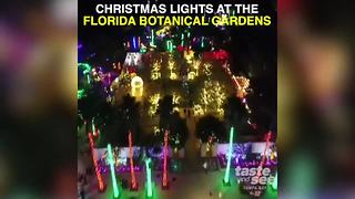 Christmas lights at the Florida Botanical Gardens | Taste and See Tampa Bay