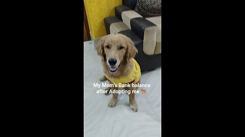 My Mom's Bank balance after Adopting me 🐕‍🦺