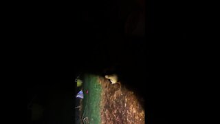 #nightshift #flashlight #nosleep