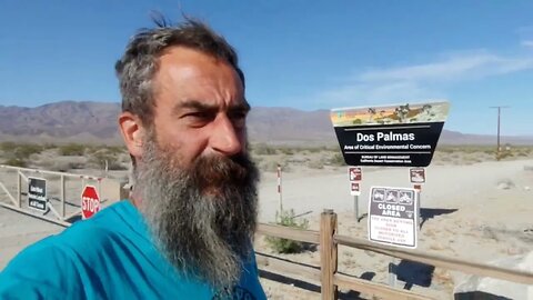 Exploring San Andreas Springs Oasis with Dennis Alan