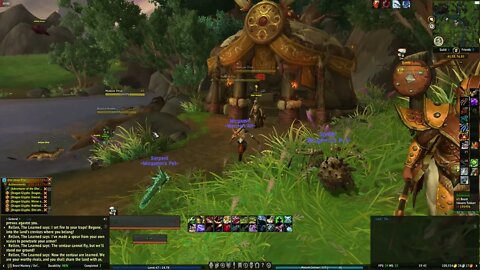 World of Warcraft Dragonflight Rellen the Learned