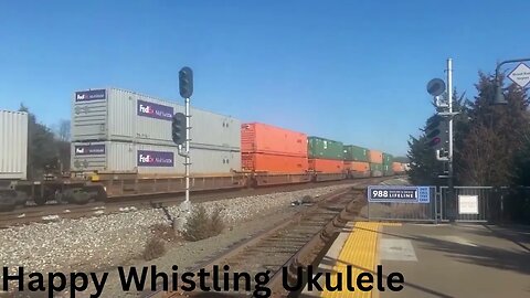 Happy Whistling Ukulele (Upbeat) Download copyright free music |background music |royalty free