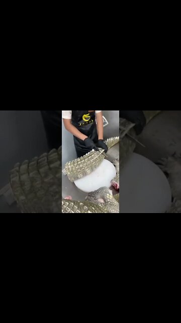 Still alive 😬 #shorts