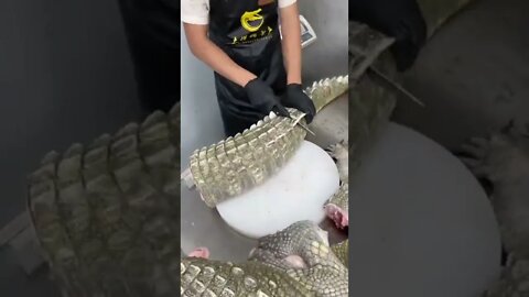 Still alive 😬 #shorts