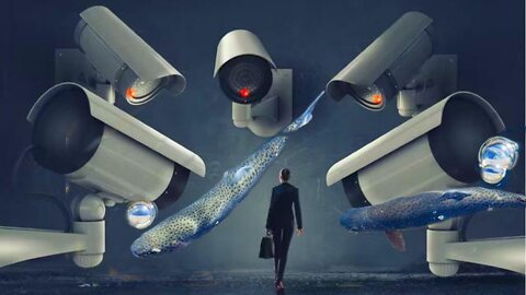 SMART SURVEILLANCE AND PLASTIC FISH