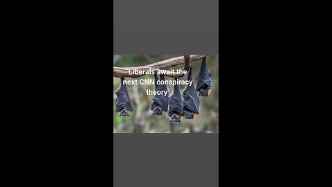 Liberal Saviours