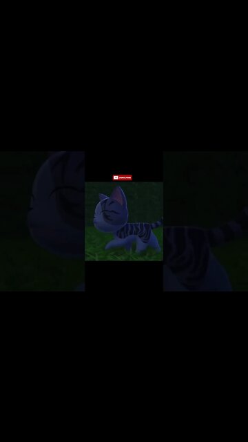 Daily #45 Japan Conversation with Chi #shorts #cat