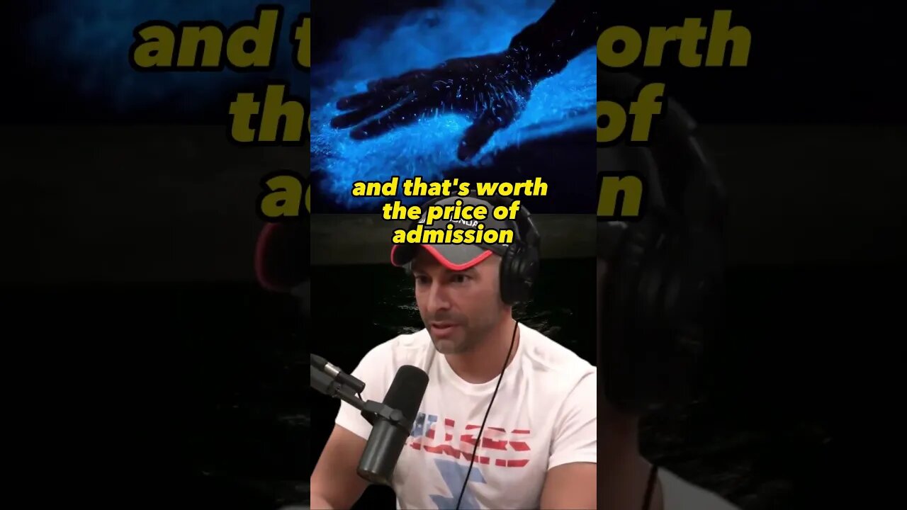 Swimming Through Darkness: Witnessing the Spectacular Beauty of the Night | Joe Rogan & Peter Attia