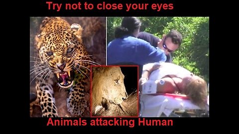 Most Dangerous Animals Attacking Human/ Unseen Videos /Caught in Camera