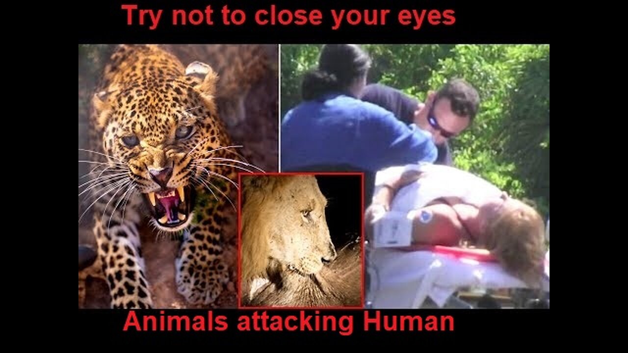 Most Dangerous Animals Attacking Human/ Unseen Videos /Caught in Camera