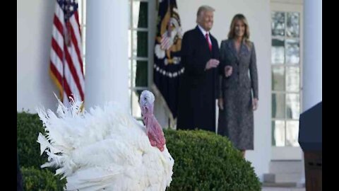 Thanking the Almighty God, the First Thanksgiving
