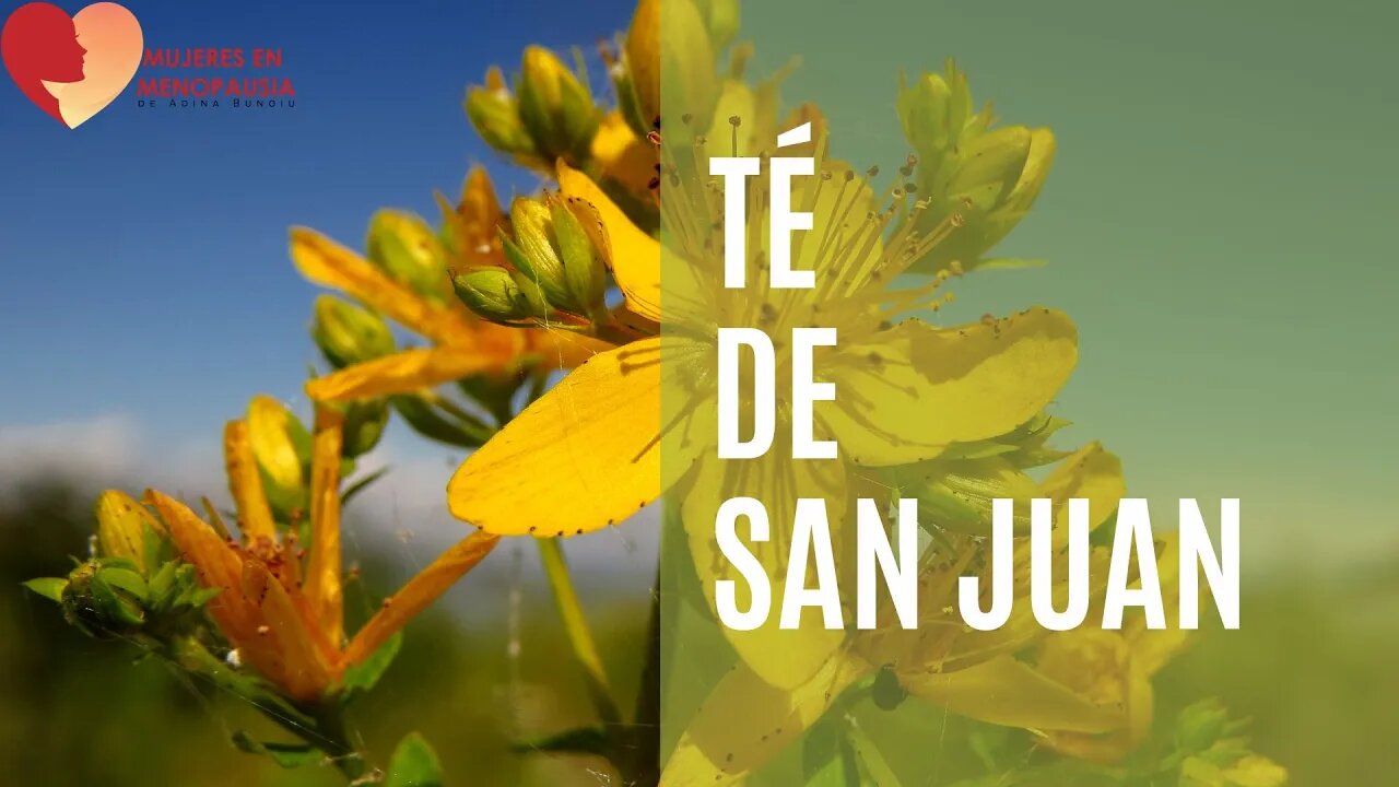 Té de San Juan | Mujeres en Menopausia