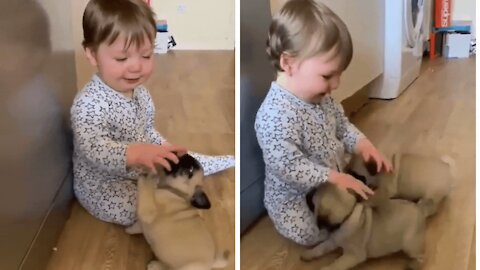 Family dogs and babies often become friends who are both happy to play together.