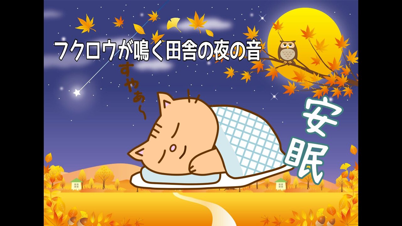 自然の音♫フクロウ鳴く田舎の夜♫安眠、入眠用BGM 1時間30分 高音質