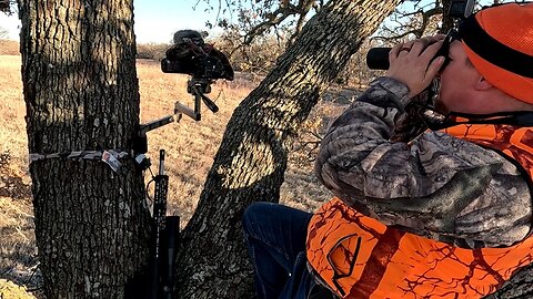 Deer hunting with AR-10!
