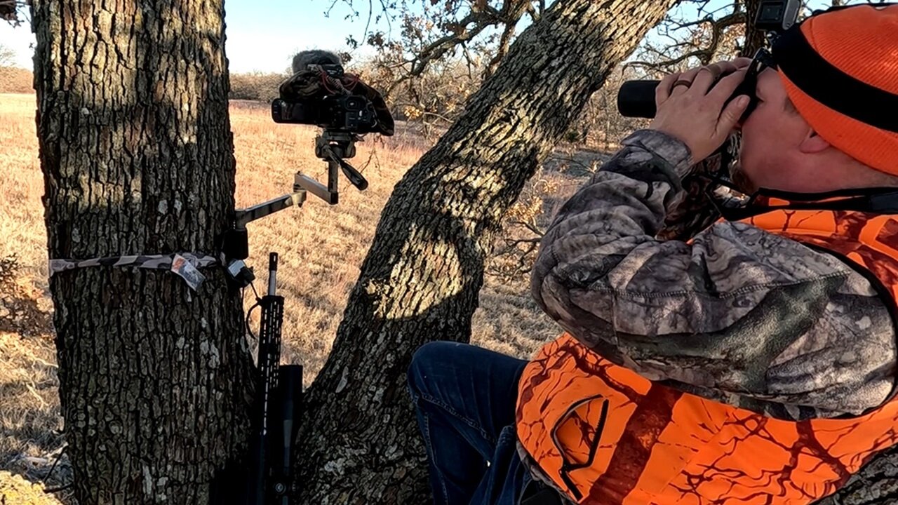 Deer hunting with AR-10!