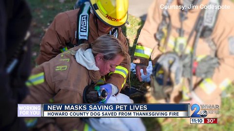Dog oxygen mask helps to save Howard Co. pup