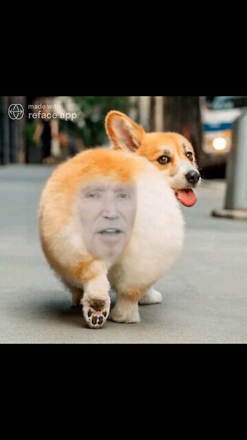 The Ultimate Joe Biden Meme!