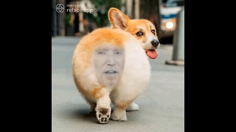 The Ultimate Joe Biden Meme!