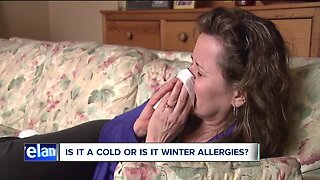 How to minimize your winter, indoor allergy symptoms