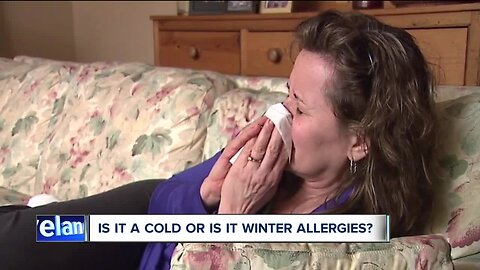 How to minimize your winter, indoor allergy symptoms