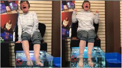 Pedicure con i pesciolini: la madre muore dal ridere!