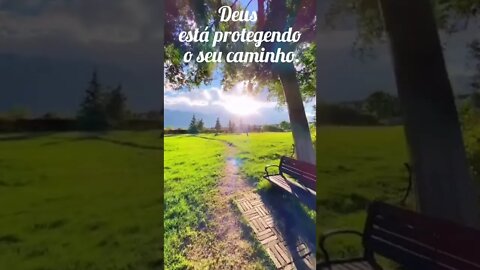 Deus está protegendo o seu caminho,escute a voz do seu coração e lute pelo seus sonhos/Motivação